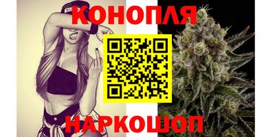 эйфоретик Ачхой-Мартан