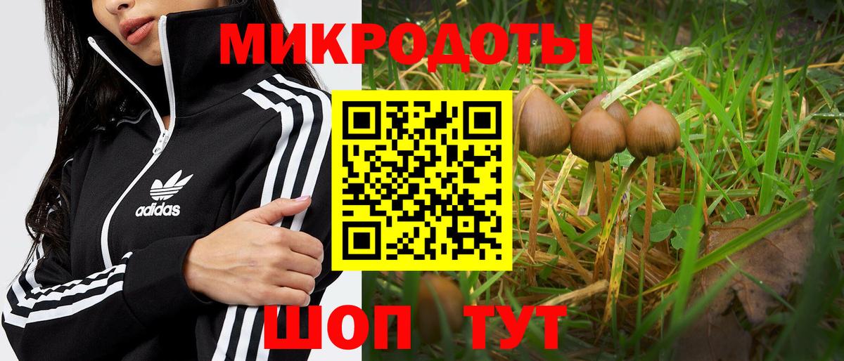 Анжеро-Судженск  Галлюциногенные грибы Cubensis  закладки  Вход с VPN  Галлюциногенные грибы Cubensis 