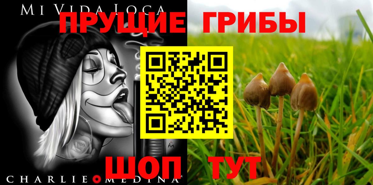 Галлюциногенные грибы MAGIC MUSHROOMS Анжеро-Судженск